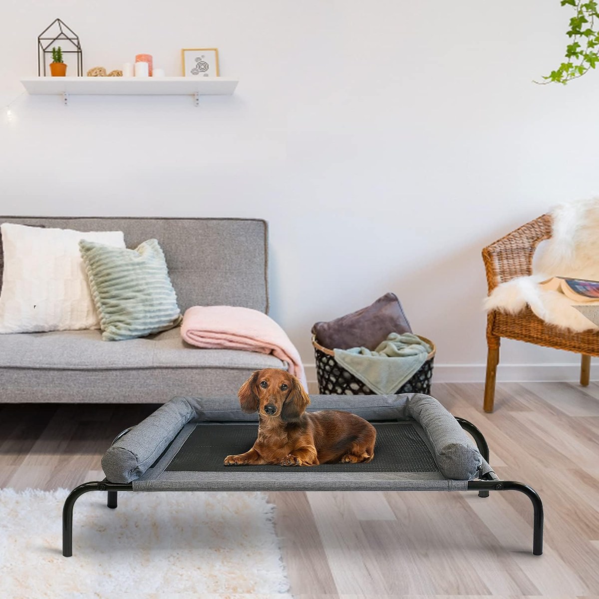 PETIME Raised Bolster Dog Bed photo 5
